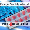 Kamagra Oral Jelly What Is It new14